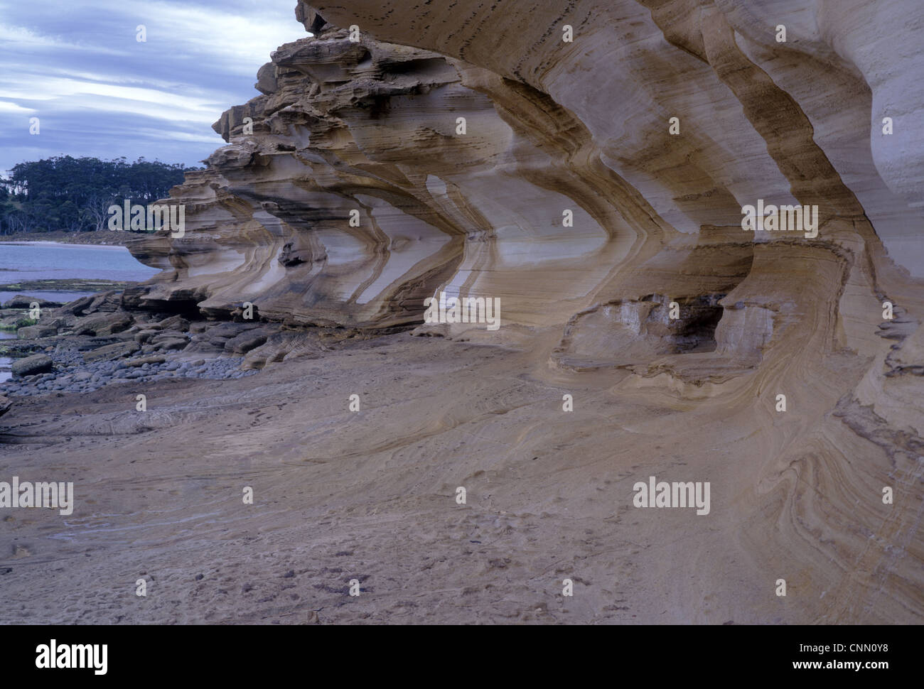 Australien-Painted Cliffs, Maria Is. NP.patterned & ausgewaschenen Sandsteinfelsen geprägt von min. Stockfoto