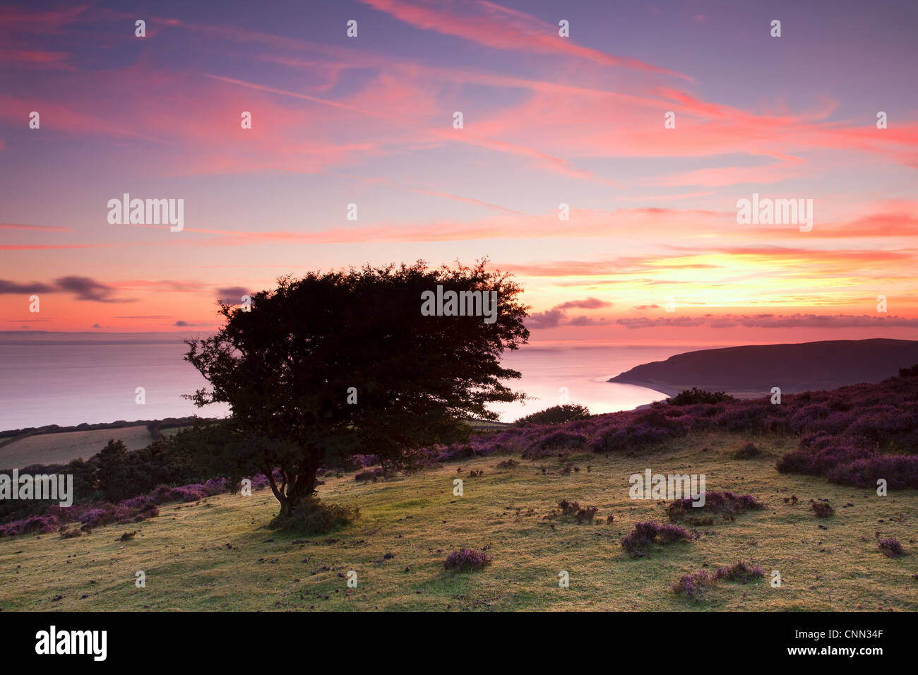 Porlock Ridge Porlock ridge -Fotos und -Bildmaterial in hoher Auflösung – Alamy