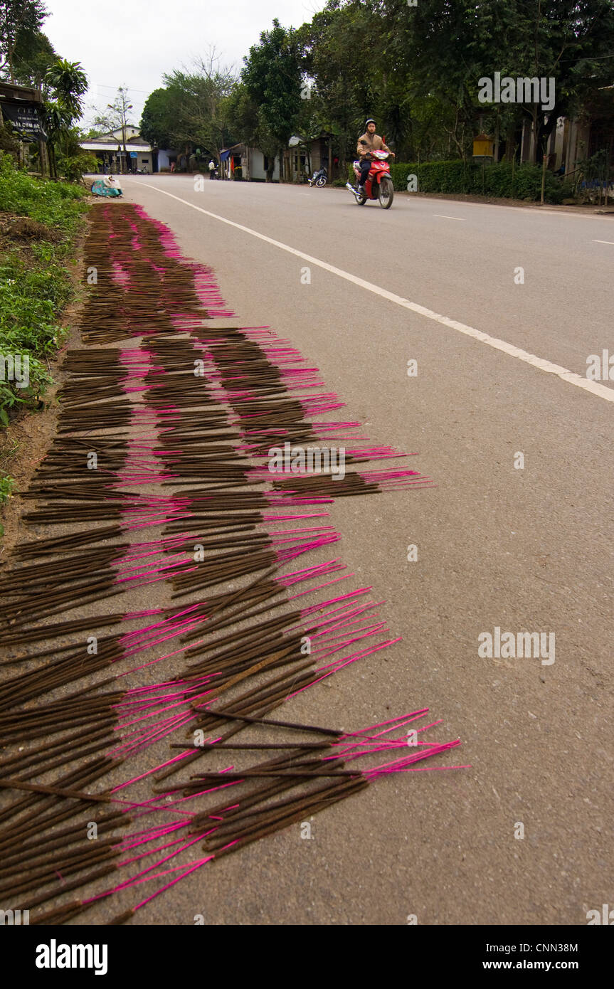 Vertikale Nahaufnahme von Hunderten von Weihrauch oder Räucherstäbchen Verlegung am Straßenrand in der Sonne trocknen. Stockfoto
