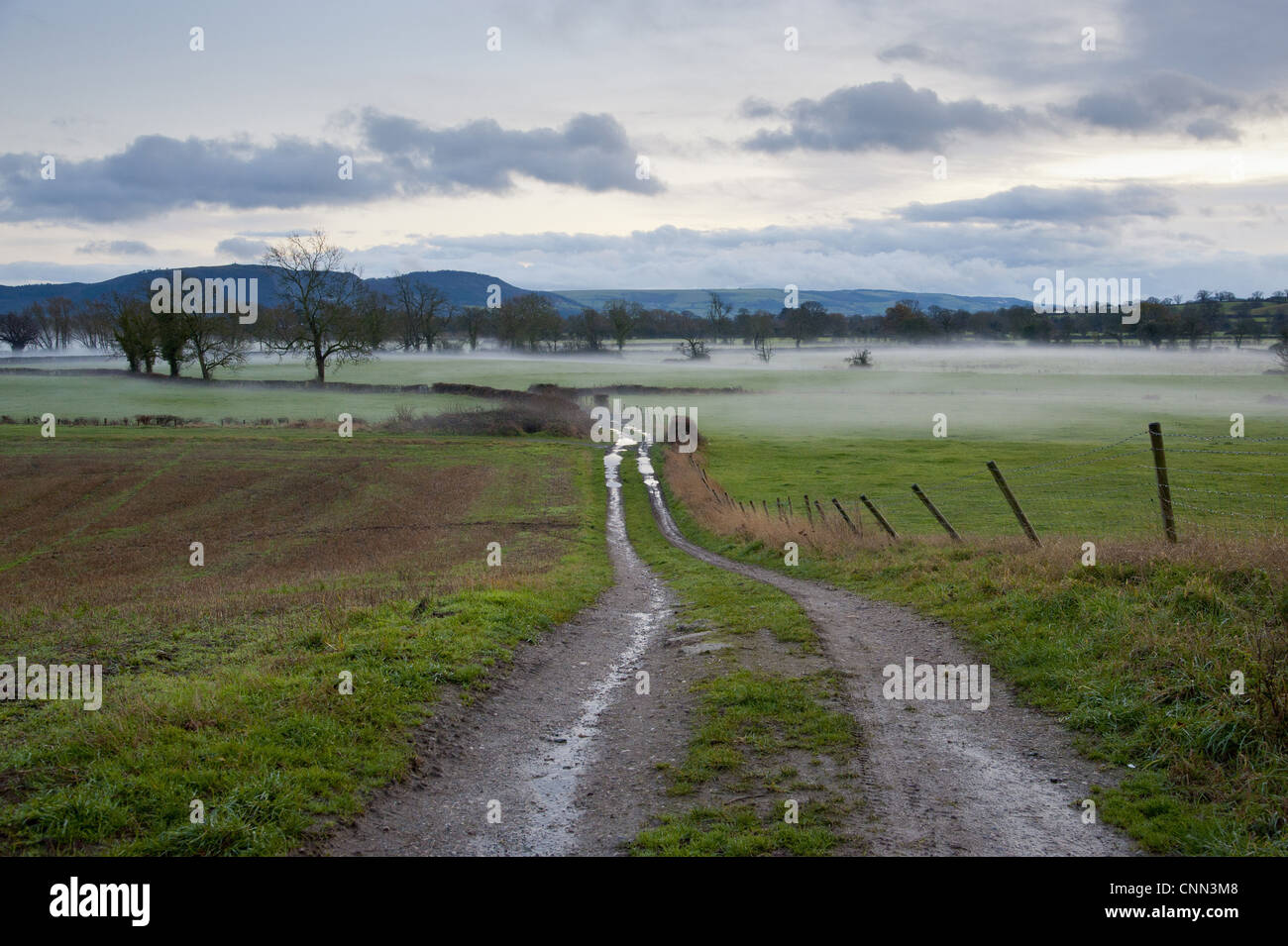 Ansicht des Nebels über Farmland in der Abenddämmerung, Llanymynech, Shropshire, England, Dezember Stockfoto