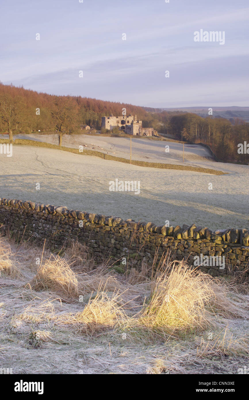 Trockenmauer gefrostet Gräser bleibt 15. Jahrhundert Hunting Lodge Abstand Barden Turm Barden Wharfedale Yorkshire Dales N.P Stockfoto