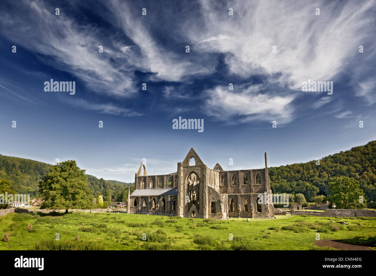 Ansicht der Zisterzienser-Abtei Ruinen, Tintern Abbey, Tintern, Wye Valley, Monmouthshire, Wales, august Stockfoto
