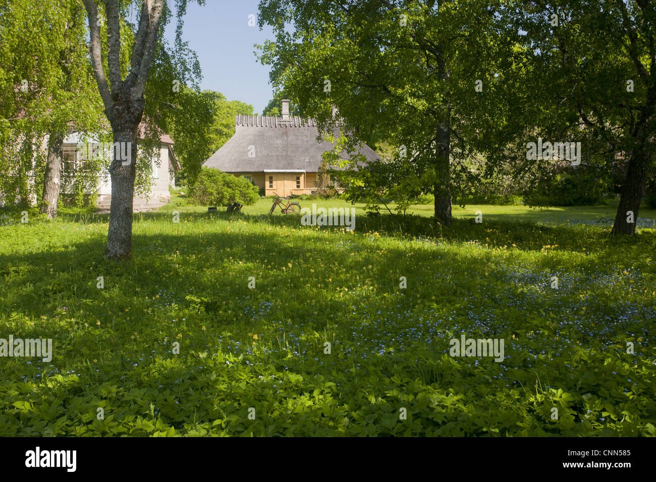 Bewaldeten Blumenwiese am Rand des Dorfes, Museumsdorf Koguva, Insel Muhu, Estland, kann Stockfoto