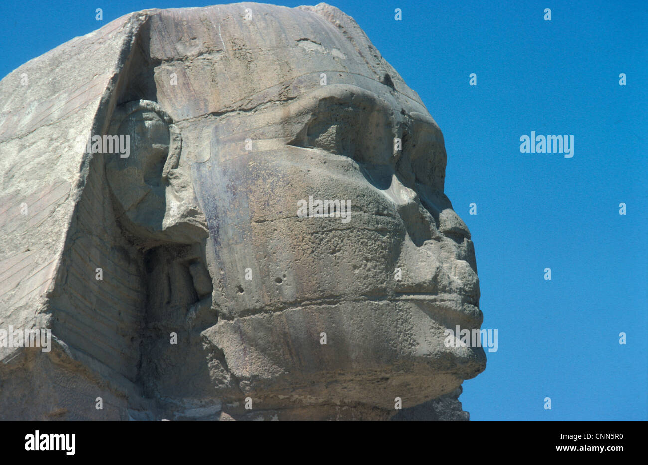 Ägypten / Archäologie der Sphinx, Gizeh, Ägypten Stockfoto