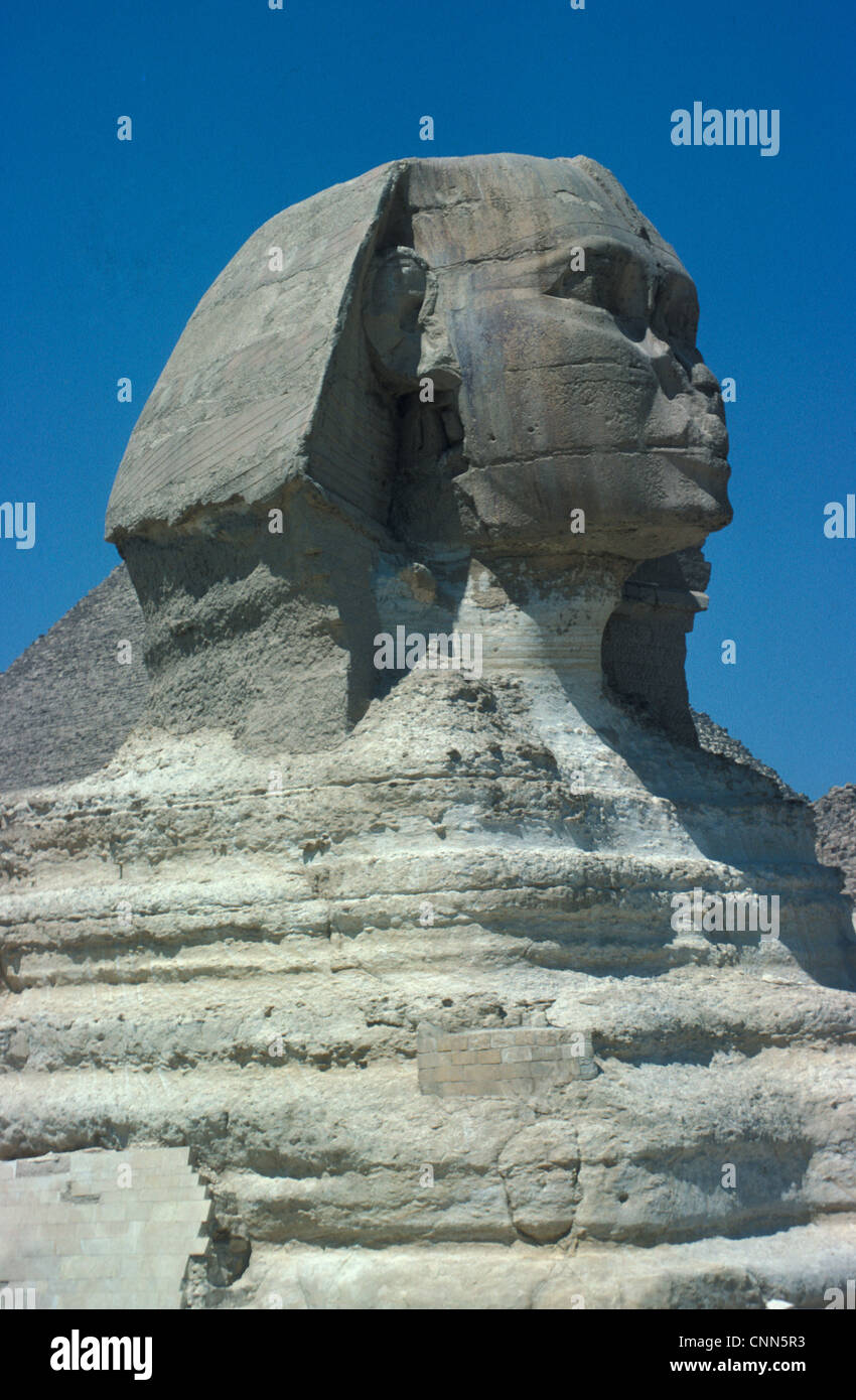 Ägypten / Archäologie der Sphinx, Gizeh, Ägypten Stockfoto