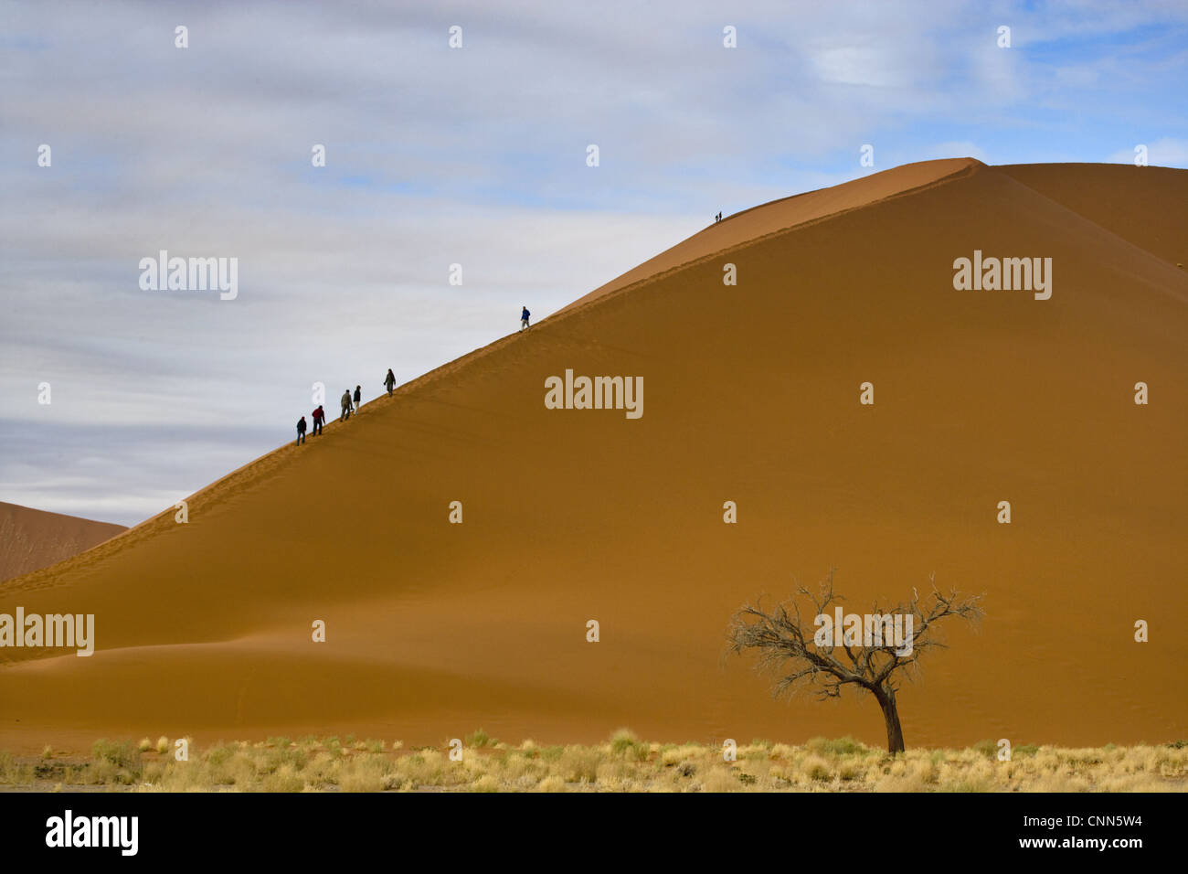 Blick auf Wüste Sanddünen mit Touristen in der Morgendämmerung, Sossusvlei, Namib-Naukluft-Nationalpark, Namib-Wüste, Namibia Stockfoto