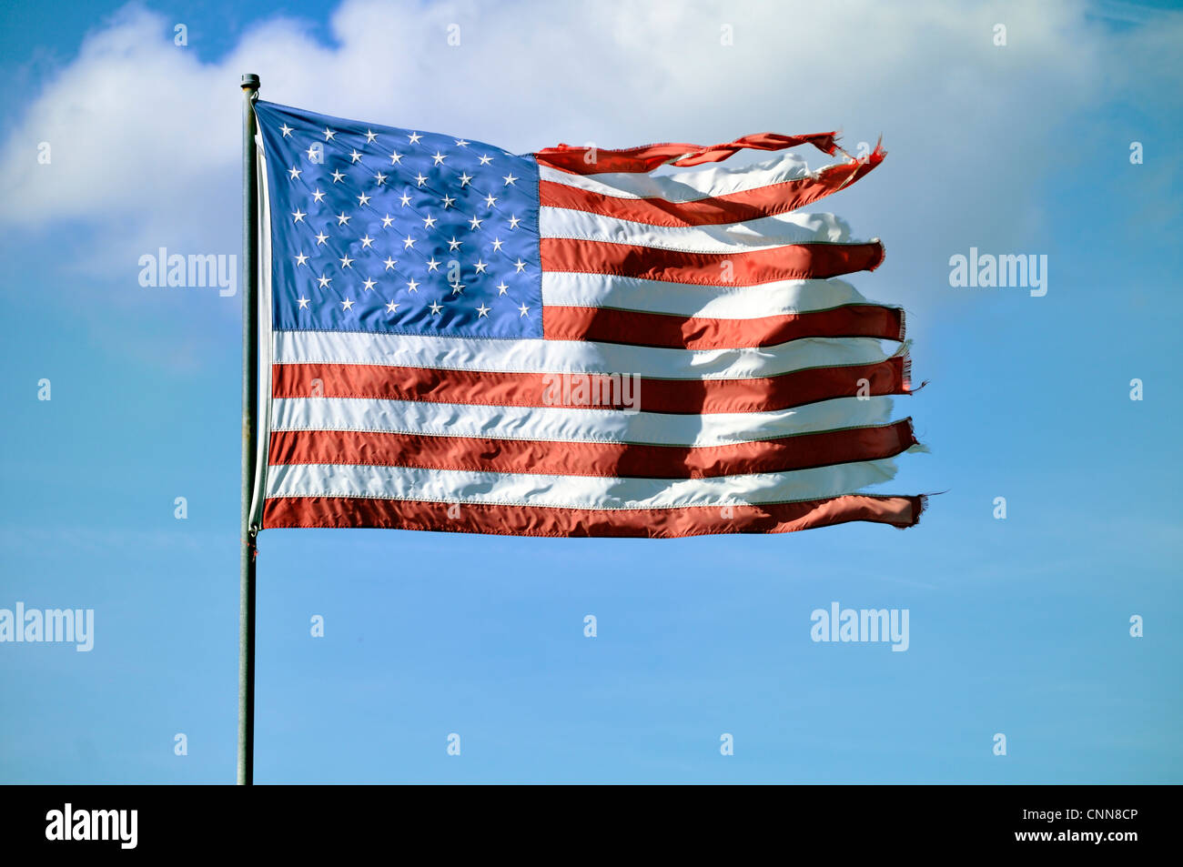 Zerfetzten amerikanischen Fähnchen im Wind Stockfoto