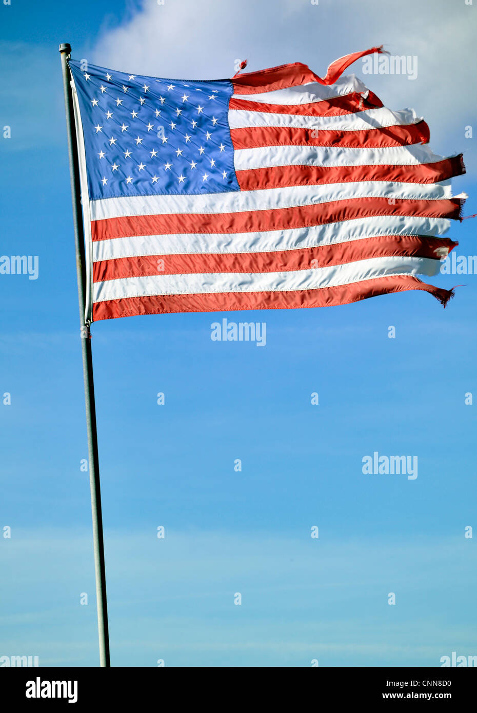 Zerfetzten amerikanischen Fähnchen im Wind Stockfoto