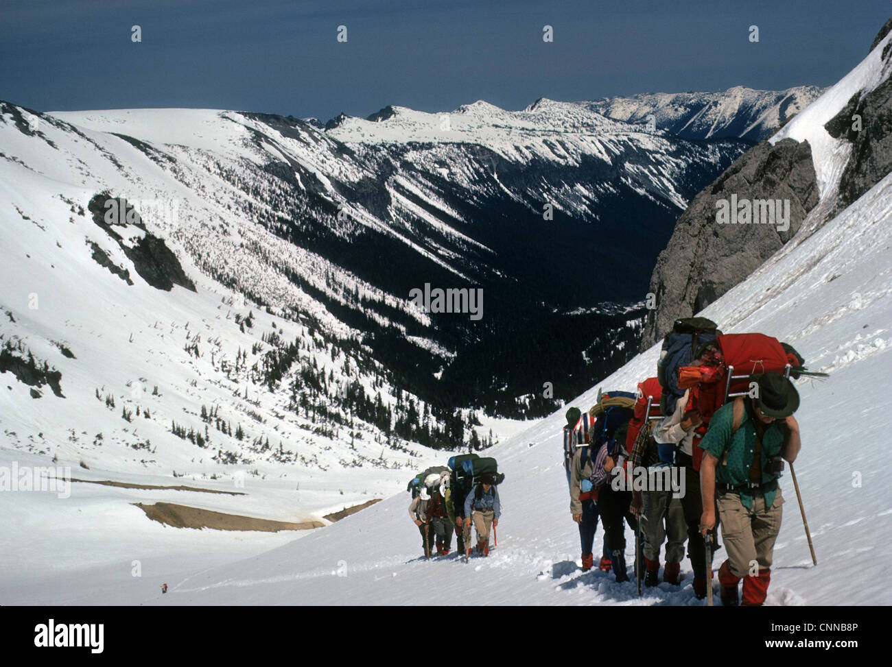 Seilschaften auf steilen Schneefeldern schuften, Emmons Gletscher, Mt Rainer, Washington Stockfoto