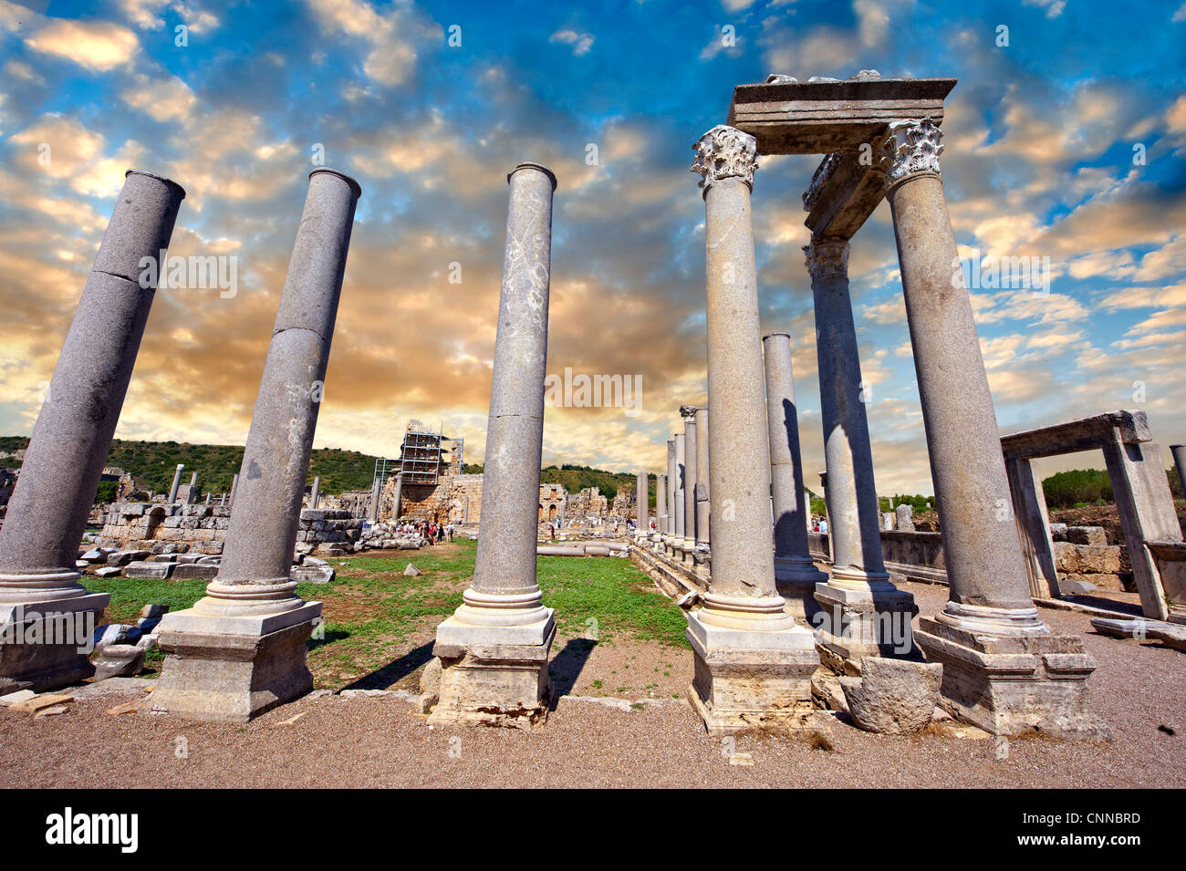 Spalten der römischen Agora von Perge. Archäologische Stätte Perge (Perga), Türkei Stockfoto