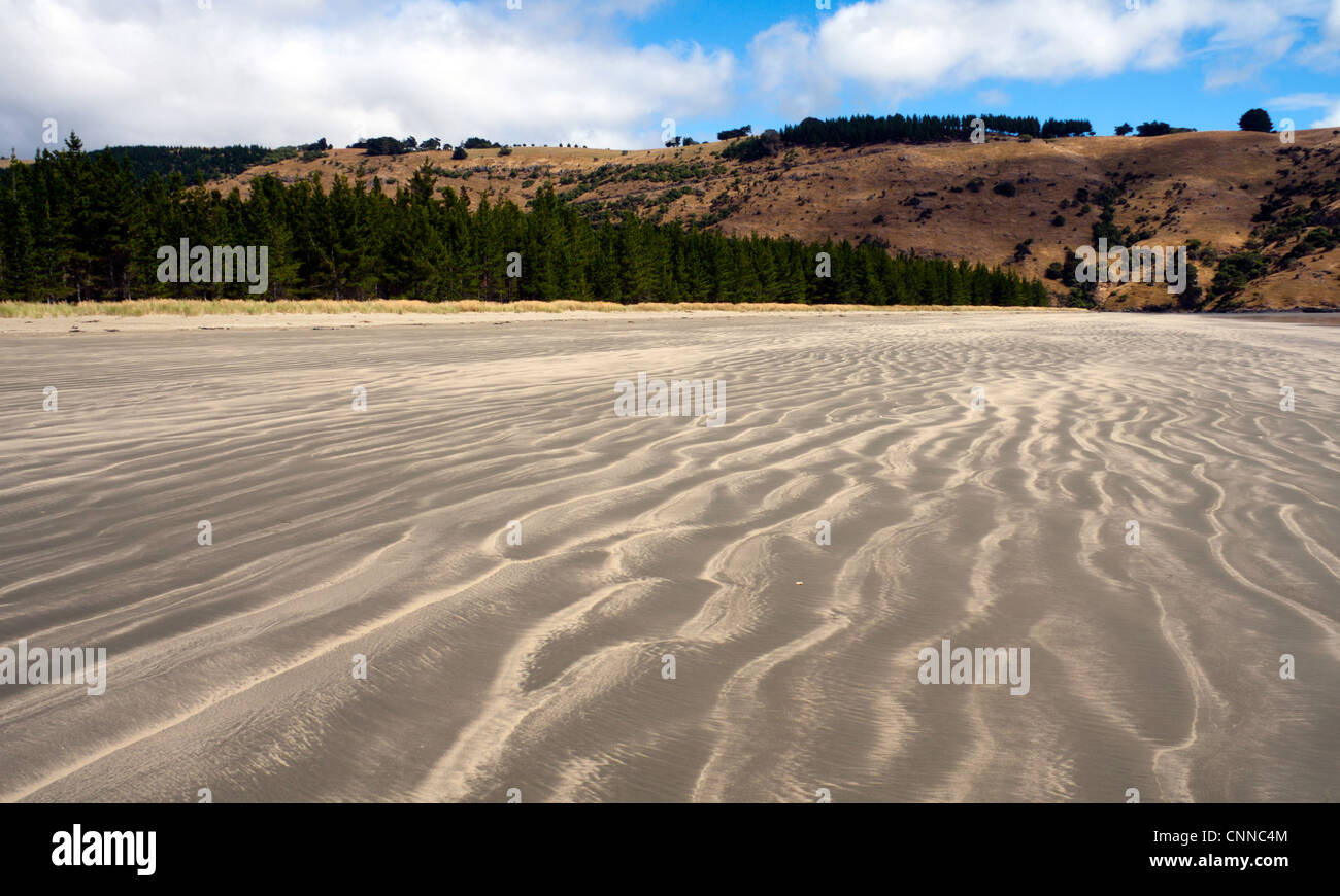 Sand Muster, okains Bay Beach, Banken Peninsular, Christchurch, Südinsel, Neuseeland Stockfoto