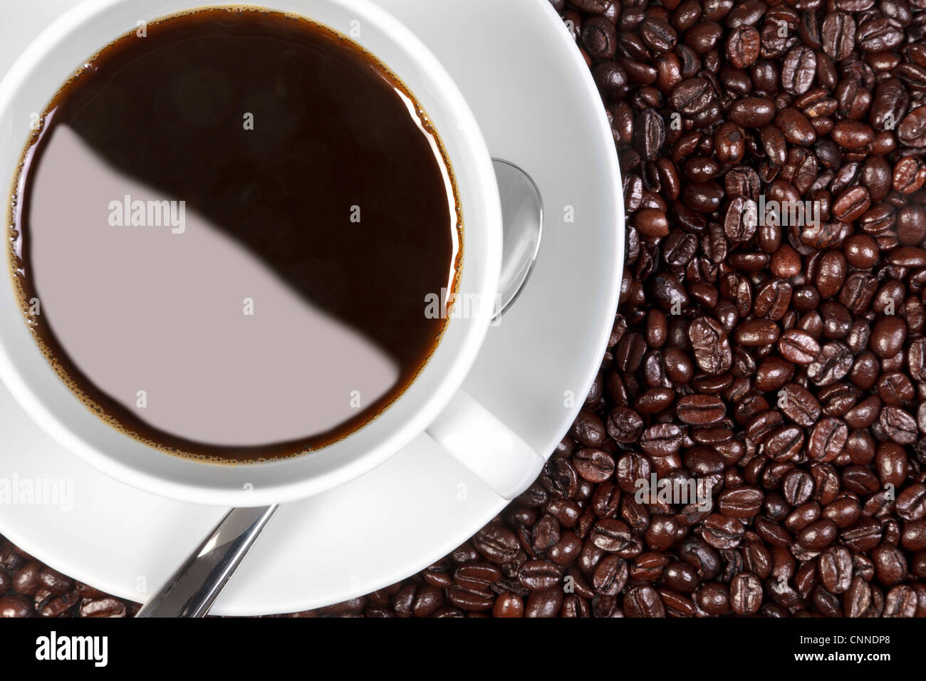 Obenliegende Foto von einer Tasse Kaffee sitzen auf frisch gerösteten Arabica und Robusta-Kaffee Bohnen. Stockfoto