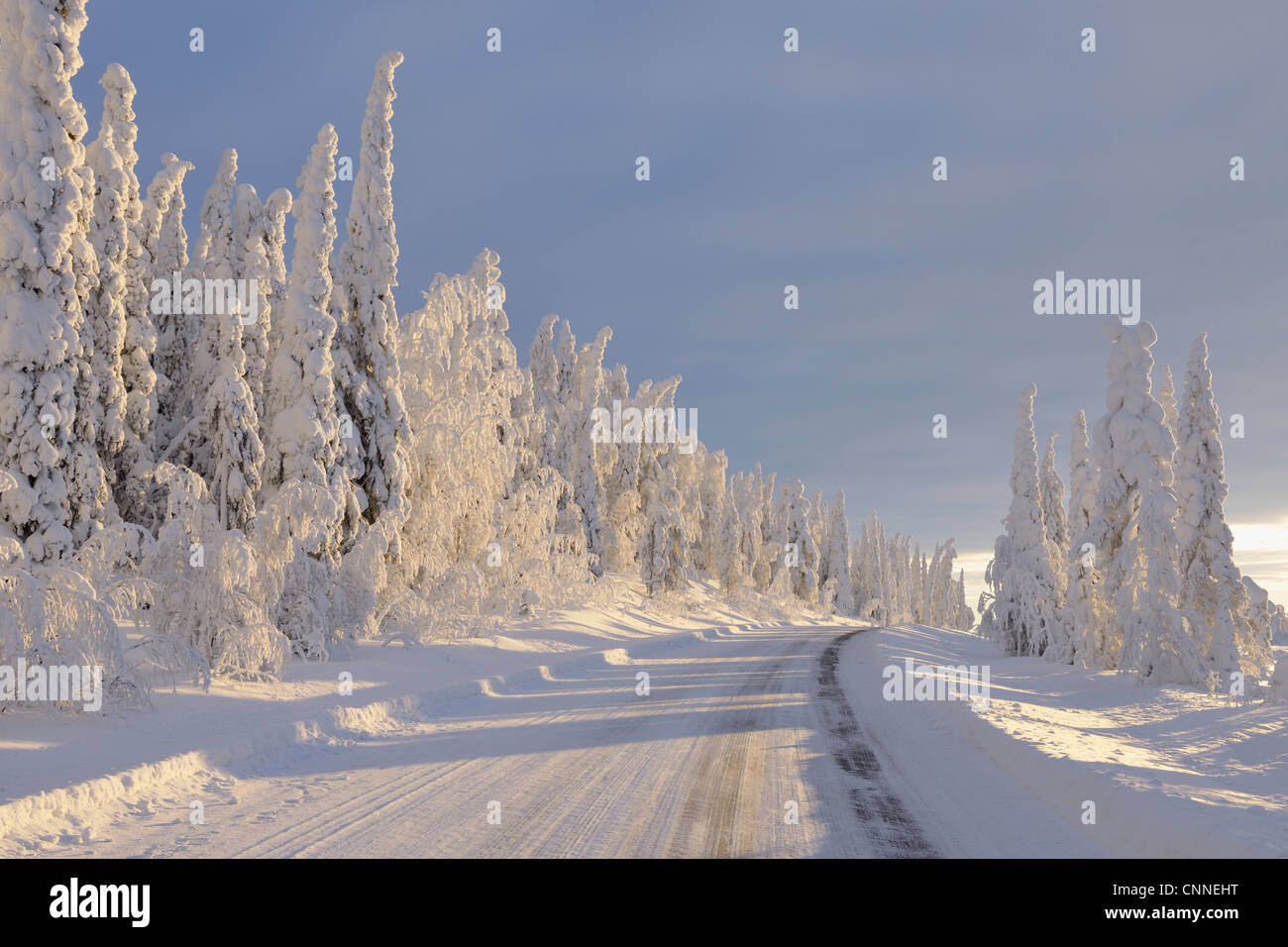 Straße, Valtavaara, Kuusamo, Nordösterbotten, Provinz Oulu, Finnland Stockfoto