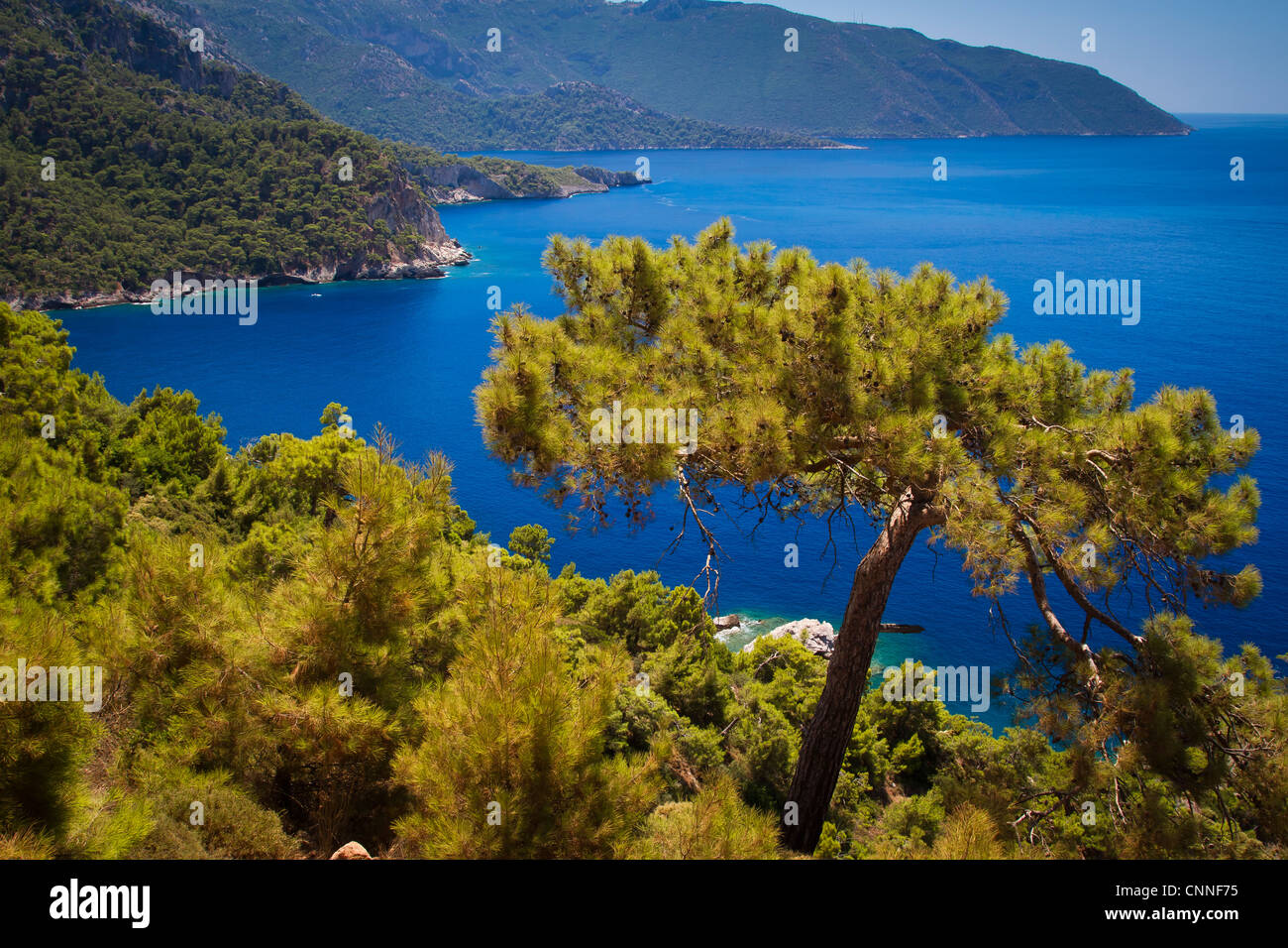 Wald- und Küstenlandschaft. Kabak Tal. Lykischen Weg. Provinz Mugla, Ägäis, Türkei. Stockfoto