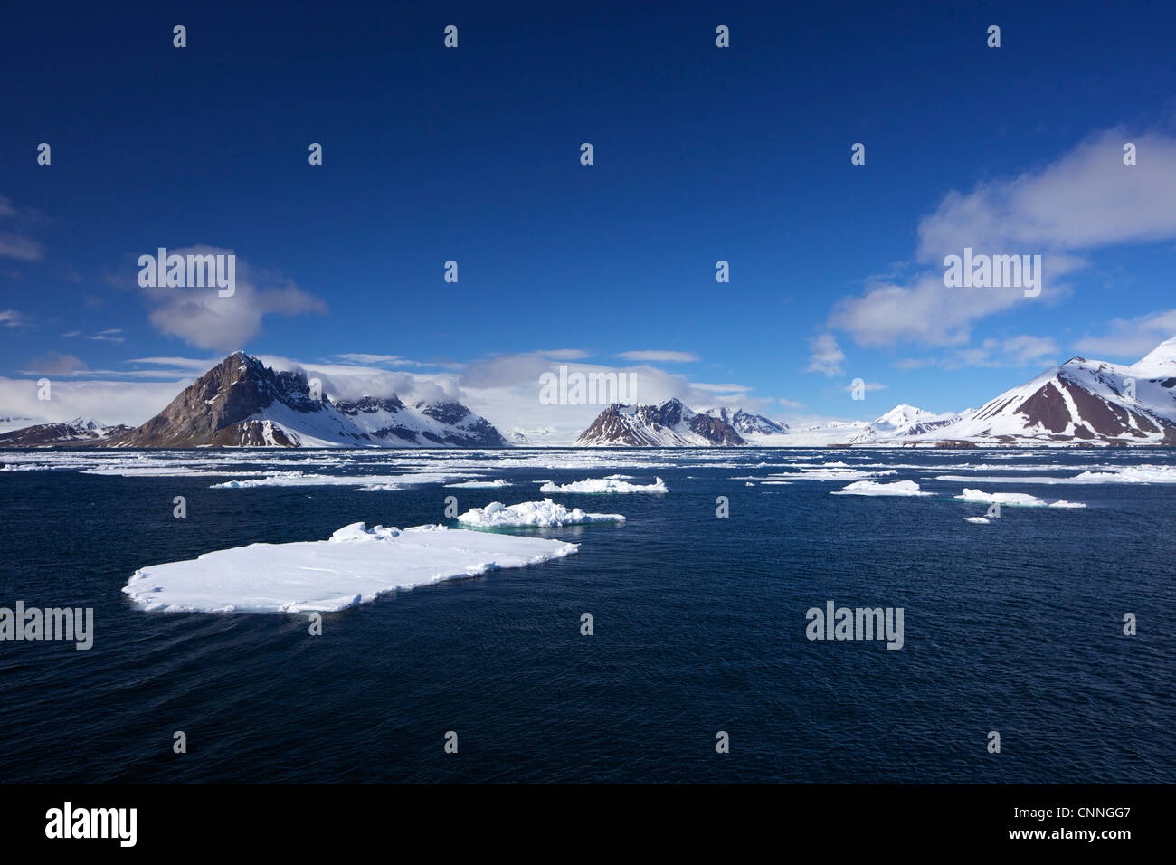Pack Eis in Hornsund Fjord in der Sommersonne, Spitzbergen, Svalbard, arktisches Norwegen, Europa Stockfoto
