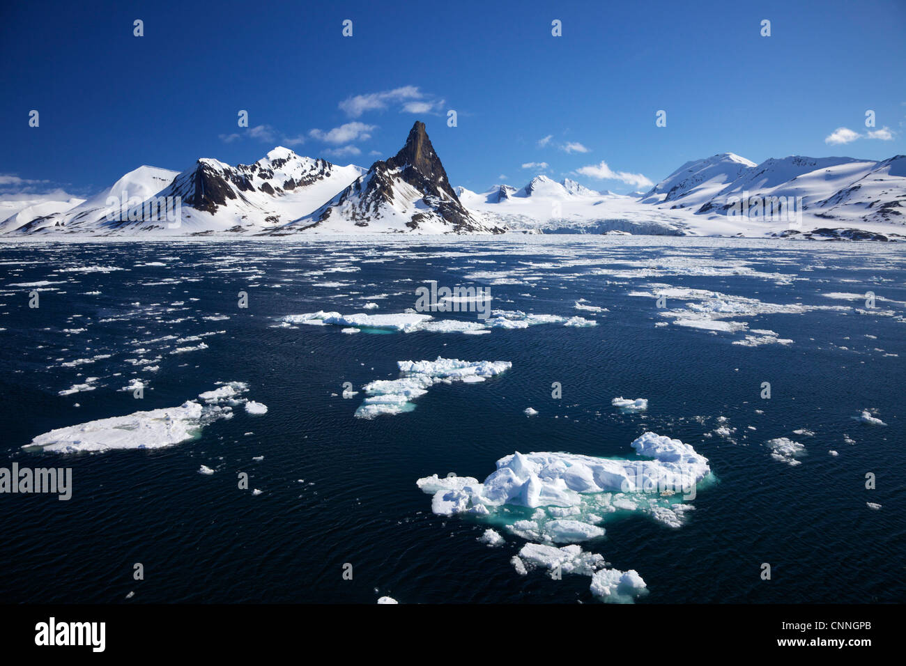 Packeis im Hornesund-Fjord im Sommersonnenschein, Spitzbergen, Svalbard, Arktis Norwegen, Europa Stockfoto