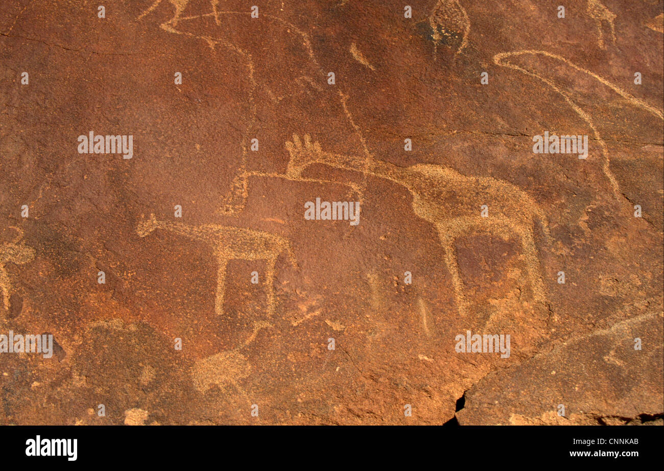 Archäologie-Petroglyphen. Buschmann Felszeichnungen in Twyfelfontain, Namibia Stockfoto