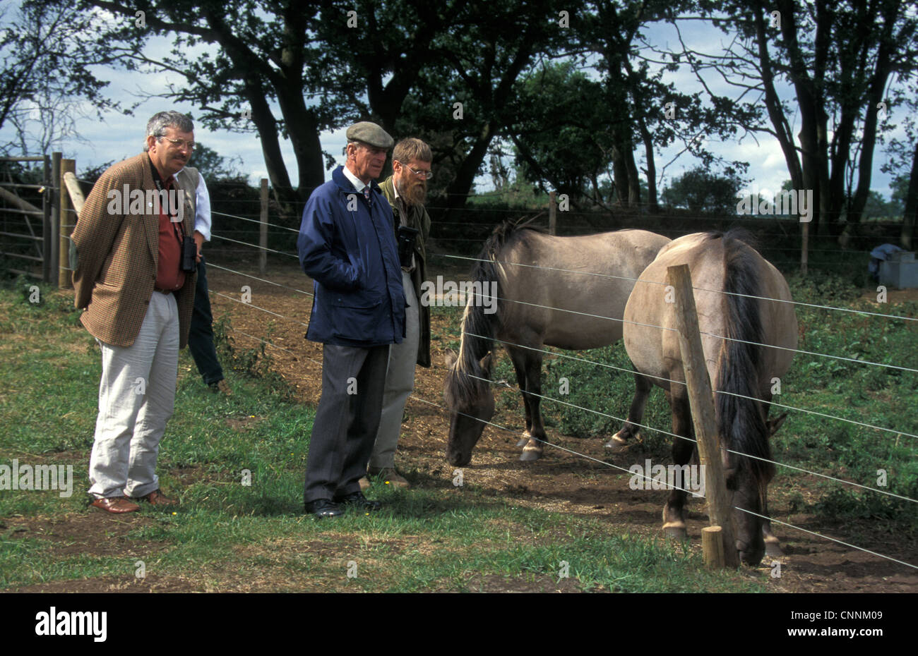 Behält sich vor, Prinz Philip, Derek Moore & Marek Borkowski Konik Pferde zu betrachten Stockfoto