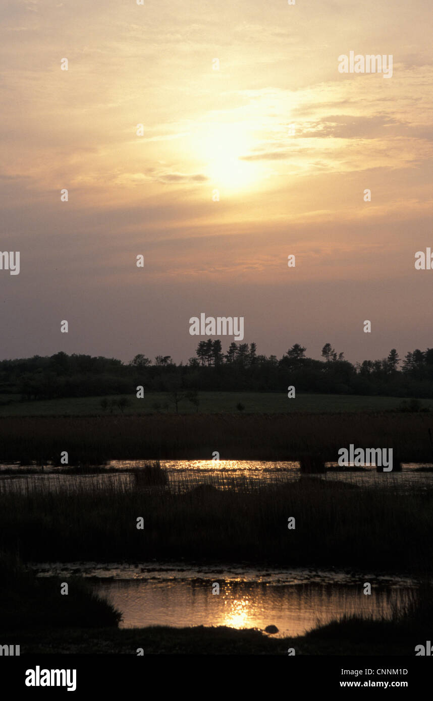 Naturschutz - Reserven - untergehende Sonne über Dingle Marsh, Suffolk Wildlife Trust Stockfoto
