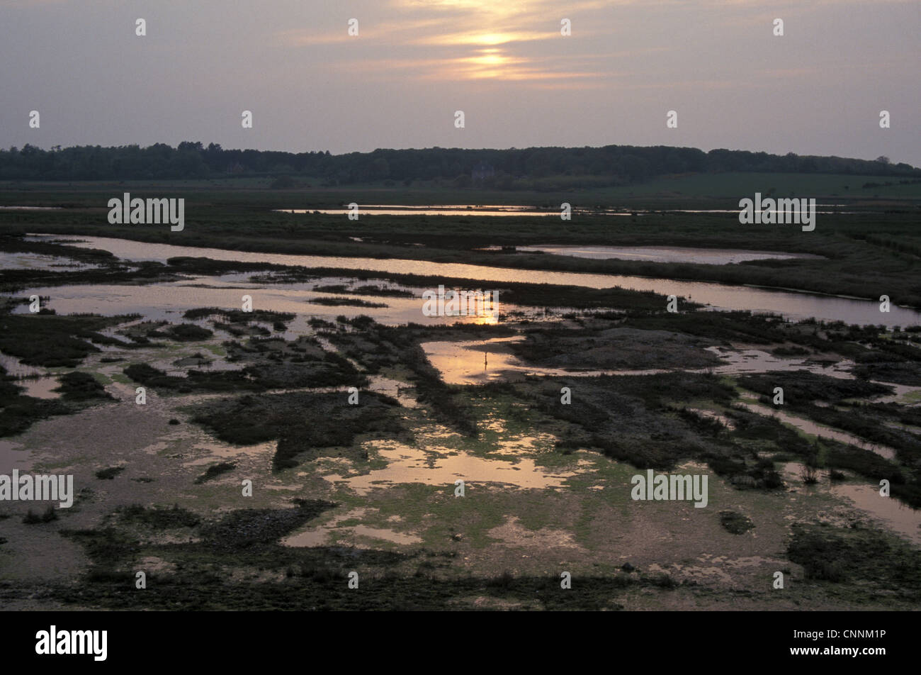 Naturschutz - Reserven - untergehende Sonne über Dingle Marsh, Suffolk Wildlife Trust Stockfoto