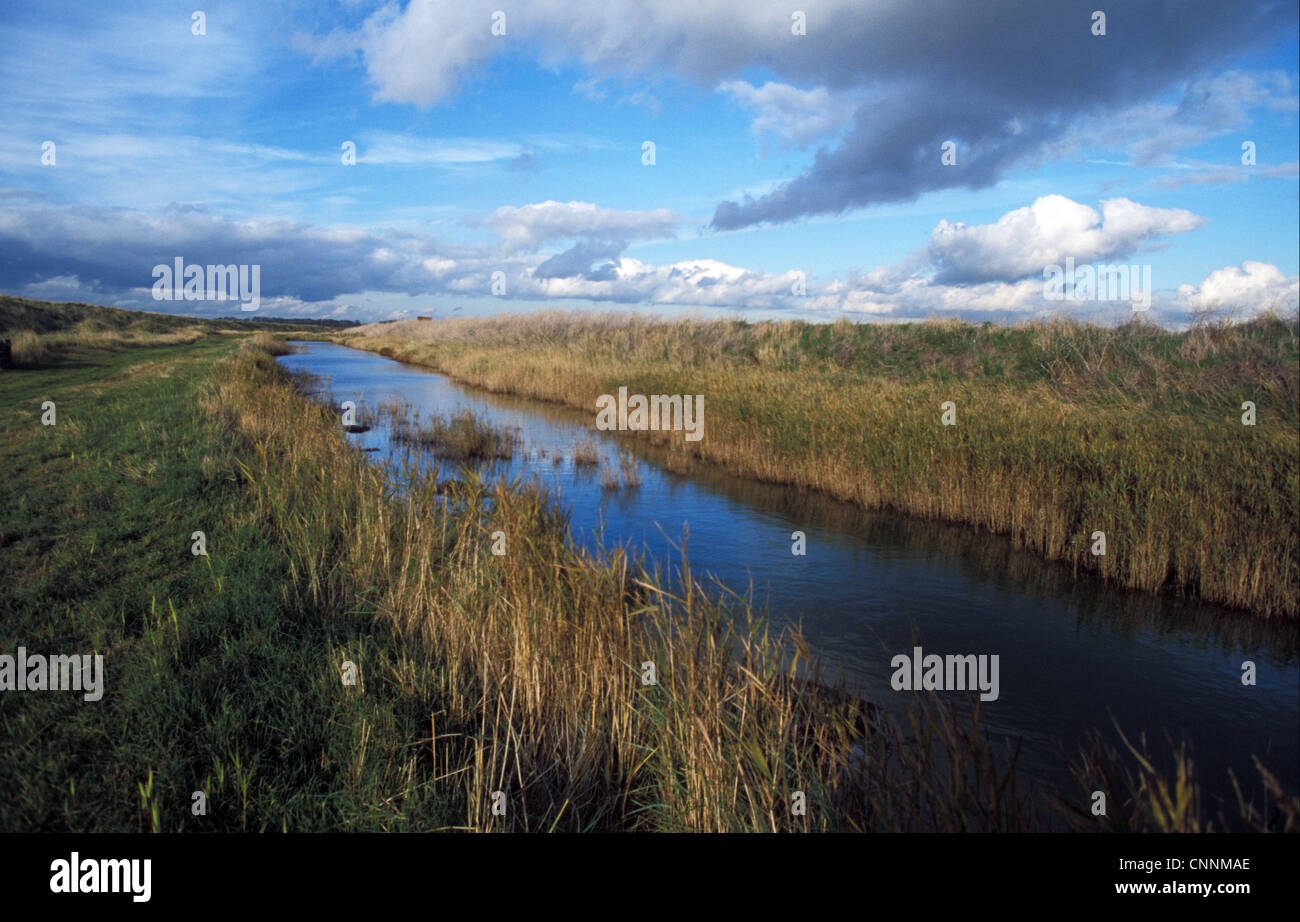 Naturschutz - Reserven - Trimley Marsh - Suffolk Wildlife Trust Stockfoto