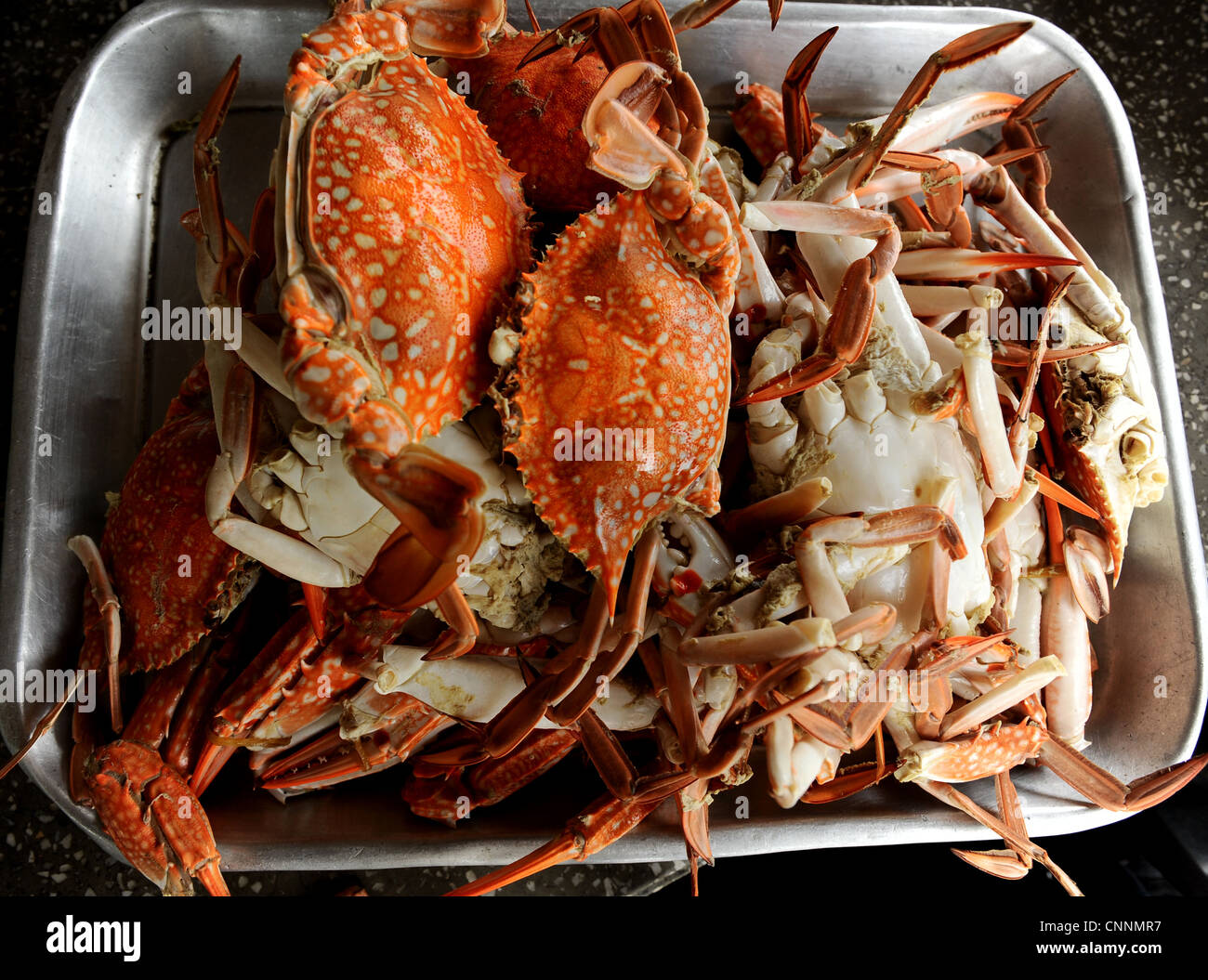 gedämpfte Krabben, thai Seafood, Koh Sukon(pig island), Trang, Süd-thailand Stockfoto