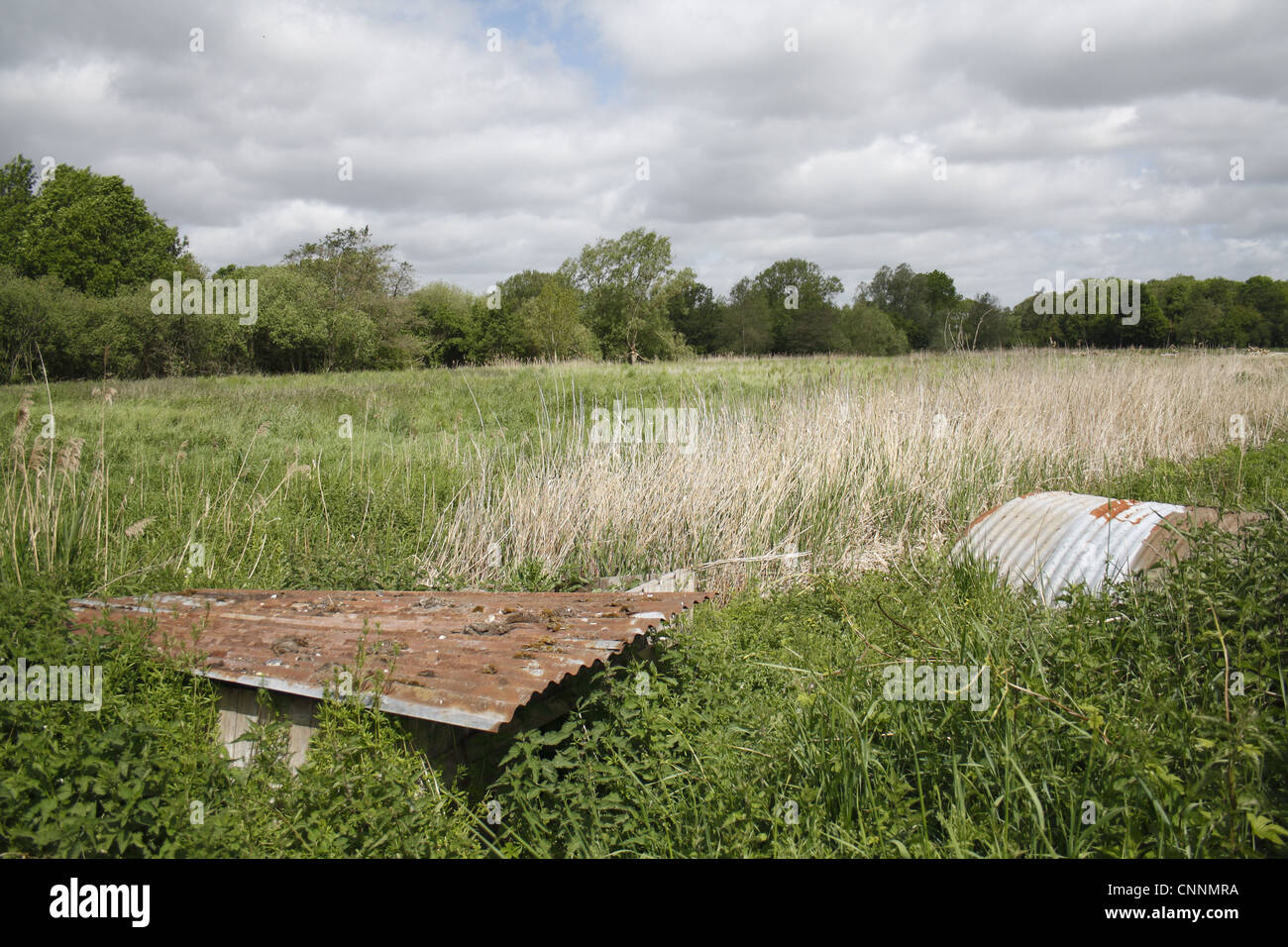 Vor kurzem kaufte Land Fen Lebensraum Restaurierung Projekt wenig Ouse Quellgebiet Projekt Webbs Fen Thelnetham wenig Ouse Valley Stockfoto