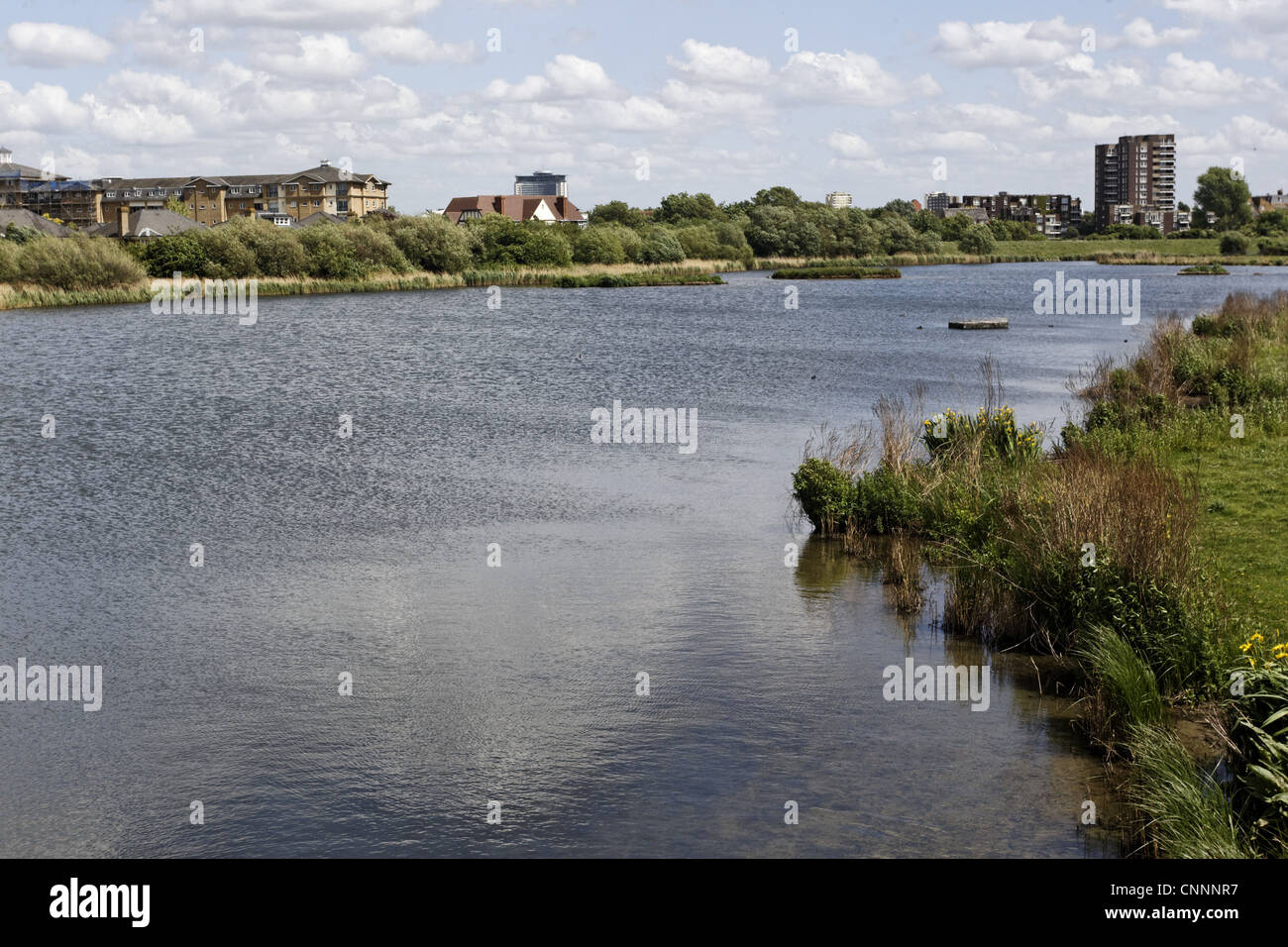 Blick auf städtische Feuchtbiotop, W.W.T. London Wetlands Centre, Barnes, Richmond upon Thames, London, England, kann Stockfoto