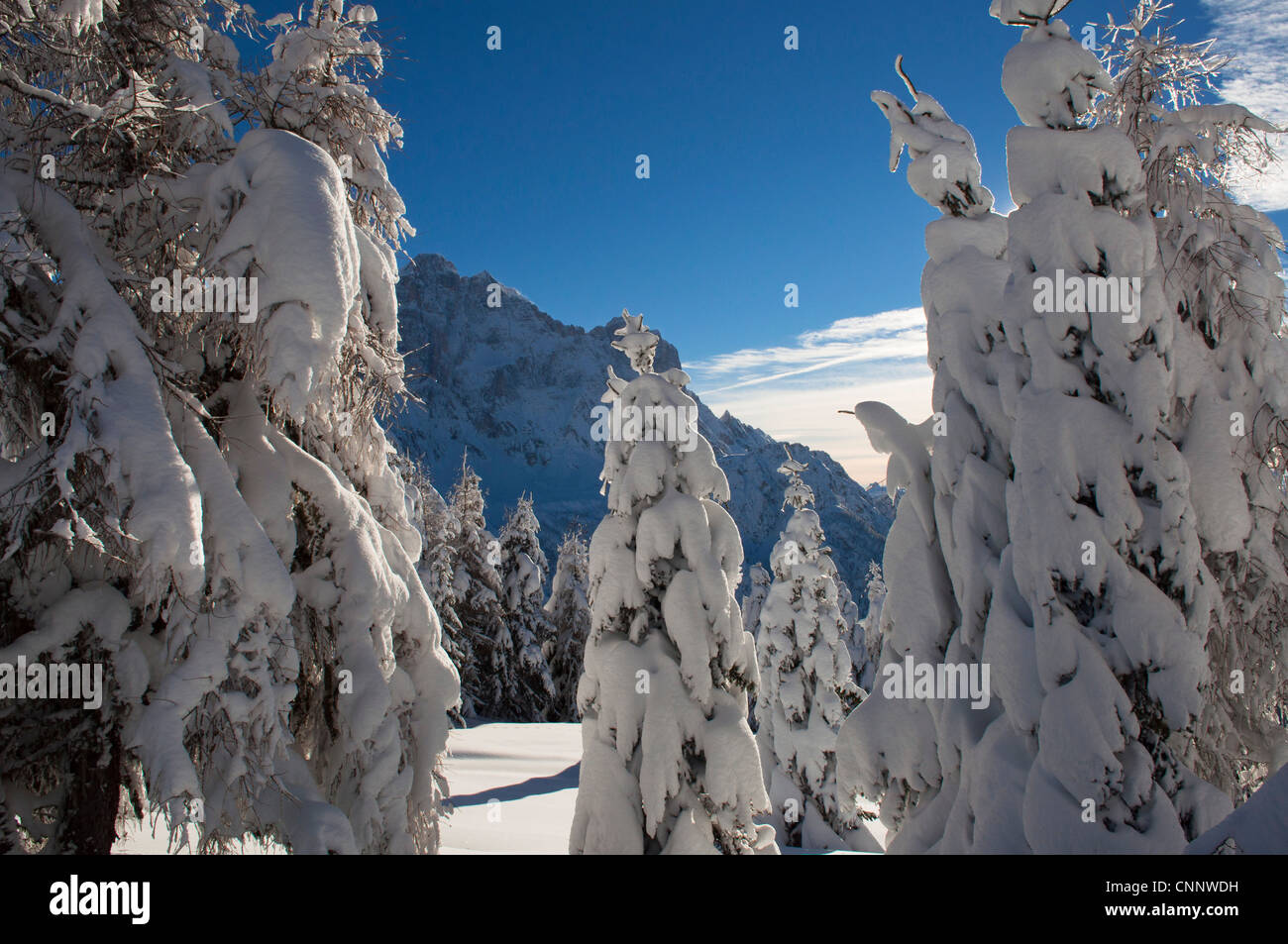 Alleghe, Provinz Belluno, Region Venetien, Dolomiten, Italien Stockfoto