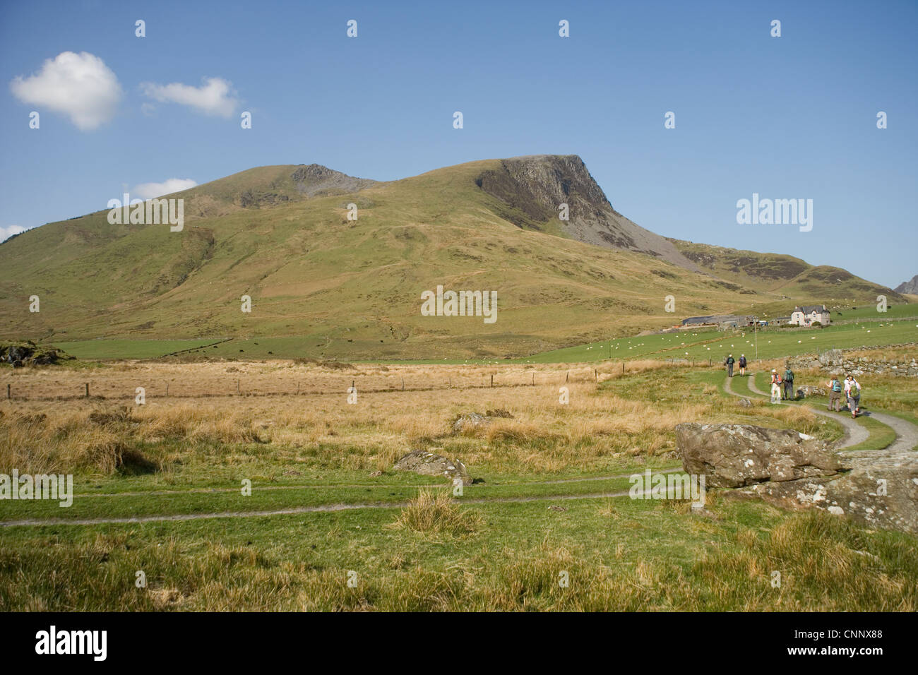 Gruppe der Wanderer Richtung Y Garn und Nantlle Ridge aus Rhyd Ddu in Snowdonia, Nordwales Stockfoto