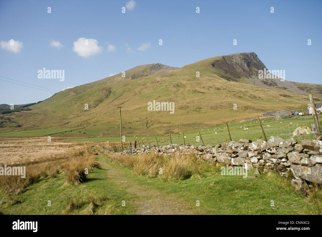 Y-Garn und Nantlle Ridge aus Rhyd Ddu in Snowdonia, Nordwales Stockfoto