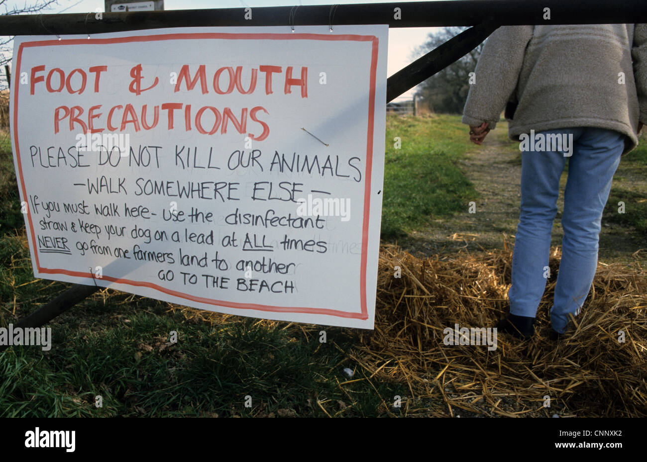 Fuß-Mund-Vorsichtsmaßnahmen Zeichen auf Bauernhof Tor Gehhilfe mit desinfiziert Stroh während Fuß-Mund-Krankheit-Ausbruches West Sussex England Stockfoto