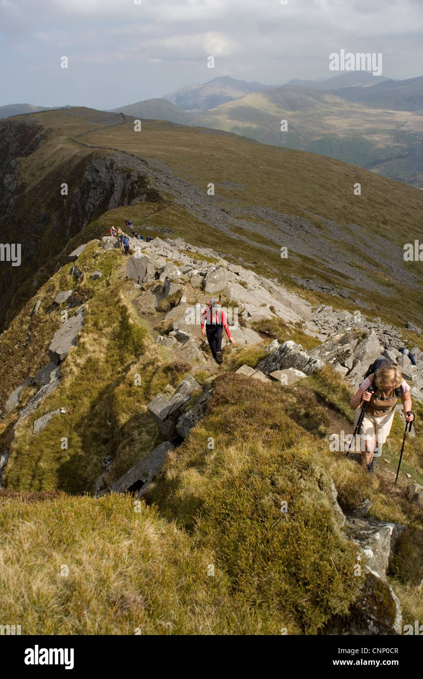 Gruppe von Wanderern Klettern entlang Nantlle Ridge in Snowdonia in Nord-Wales Stockfoto