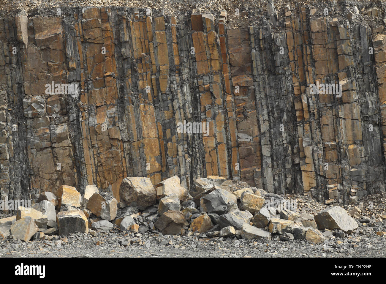 Abbruchwand Wenlock Sandstein dominiert Mitte Silur Sedimentablagerungen Tan-Y-Foel Steinbruch Penstrowed Grütze Bildung Powys Stockfoto