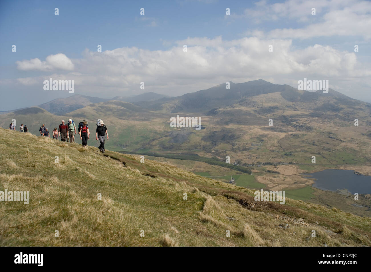 Gruppe der Wanderer zu Fuß auf dem Nantlle Grat mit Snowdon in der Ferne in Snowdonia in Nord-Wales Stockfoto