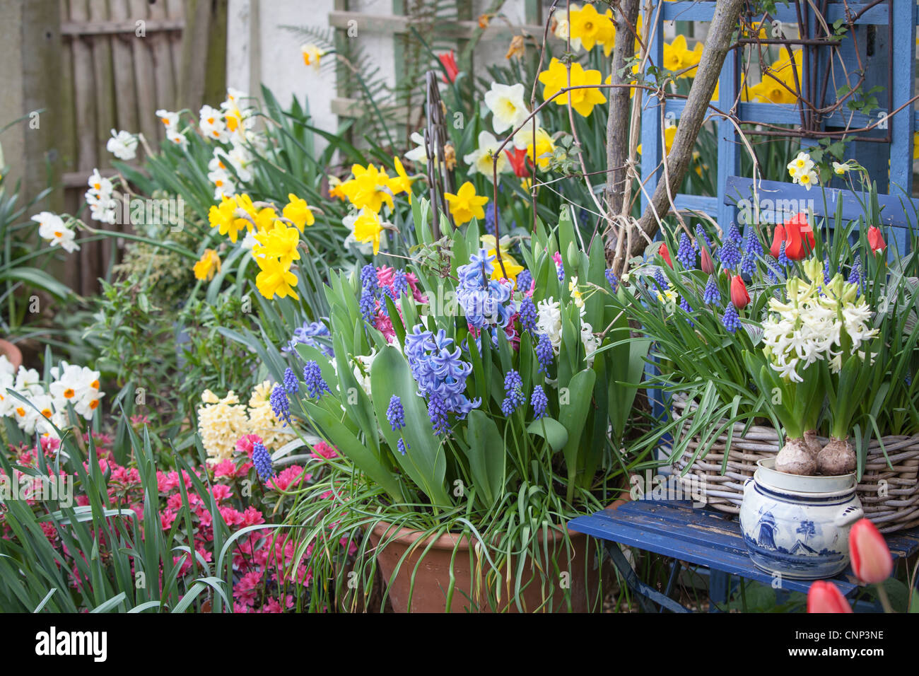 Marcel de Lannoy's Garden Addlestone Surrey UK Stockfoto