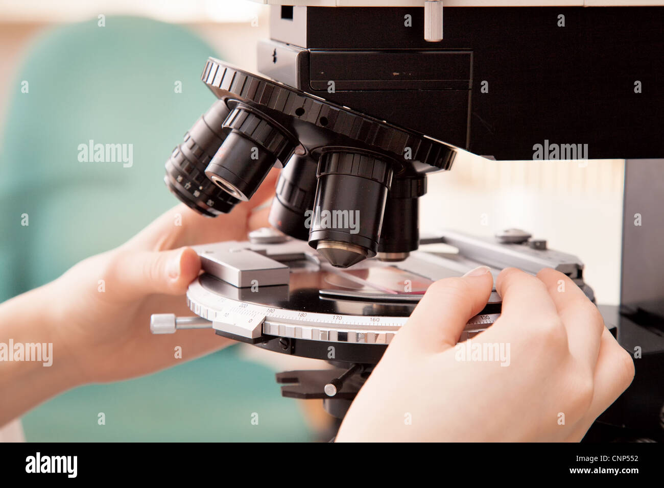 Händen der Wissenschaftler richten Sie die Objekt-Platte am Mikroskop Stockfoto