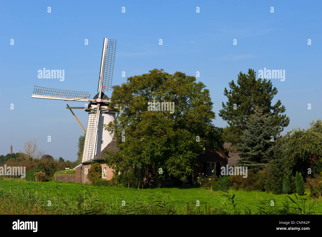 Windmühle in holländische Landschaft Stockfoto