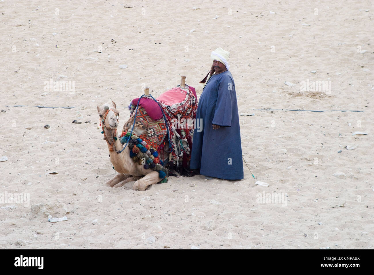 Ägyptische Kamelreiter warten, Fahrt an Touristen bei den Pyramiden in Gizeh, Kairo, Ägypten, im blauen Gewand und weißen Turban zu verkaufen Stockfoto