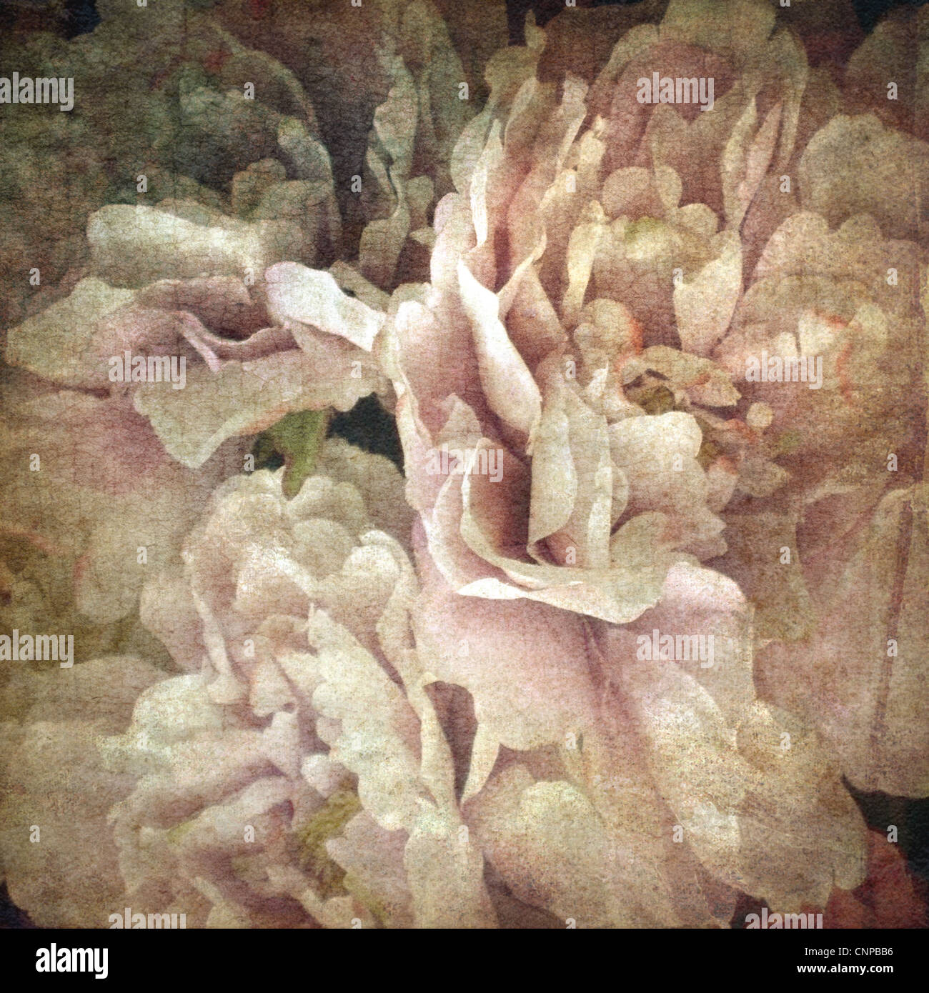 Vintage Blumen Hintergrund Stockfoto