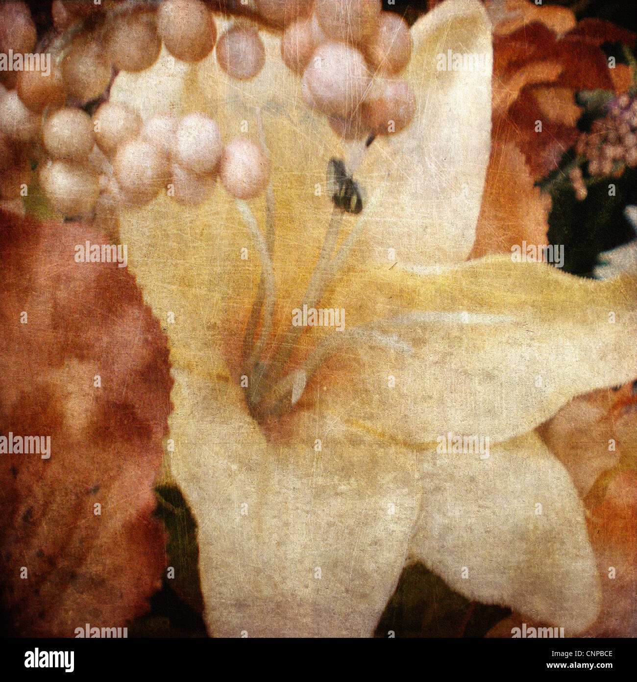 Vintage Blumen Hintergrund Stockfoto