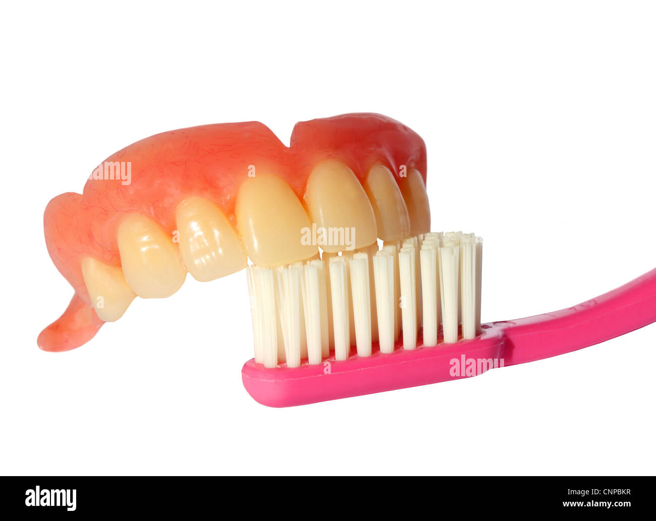 Eine komplette obere falsche Zähne oben auf einem rosa Zahnbürste. Stockfoto