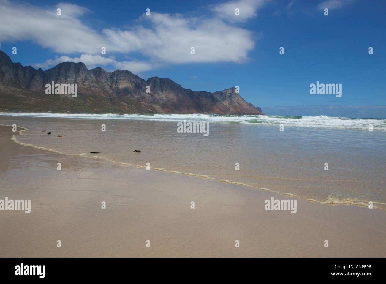 Der Strand von Kogel Bay, Western Cape, Südafrika Stockfoto