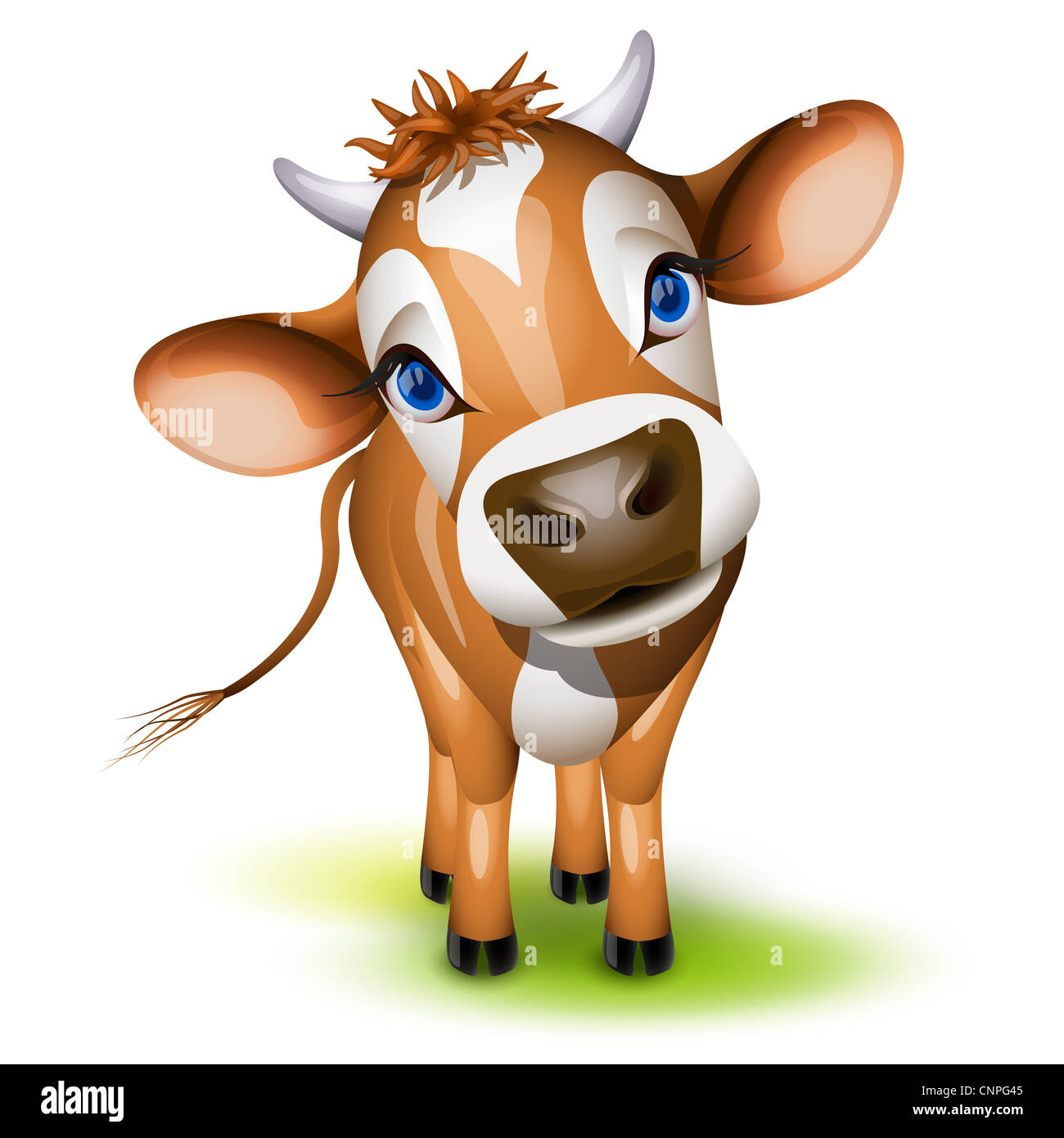 Kleine Jersey Kuh mit einem gespannten Kopf und blauen Augen Stockfoto