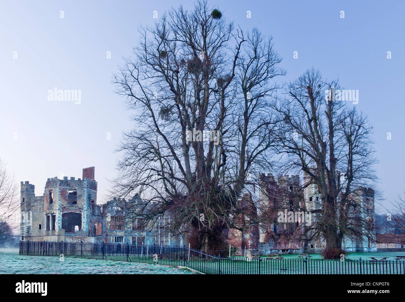 Die Ruinen von Cowdray Castle im Cowdray Park, Midhurst, West Sussex im frühen Morgen mit Frost auf den Boden und Kalk Bäumen Stockfoto