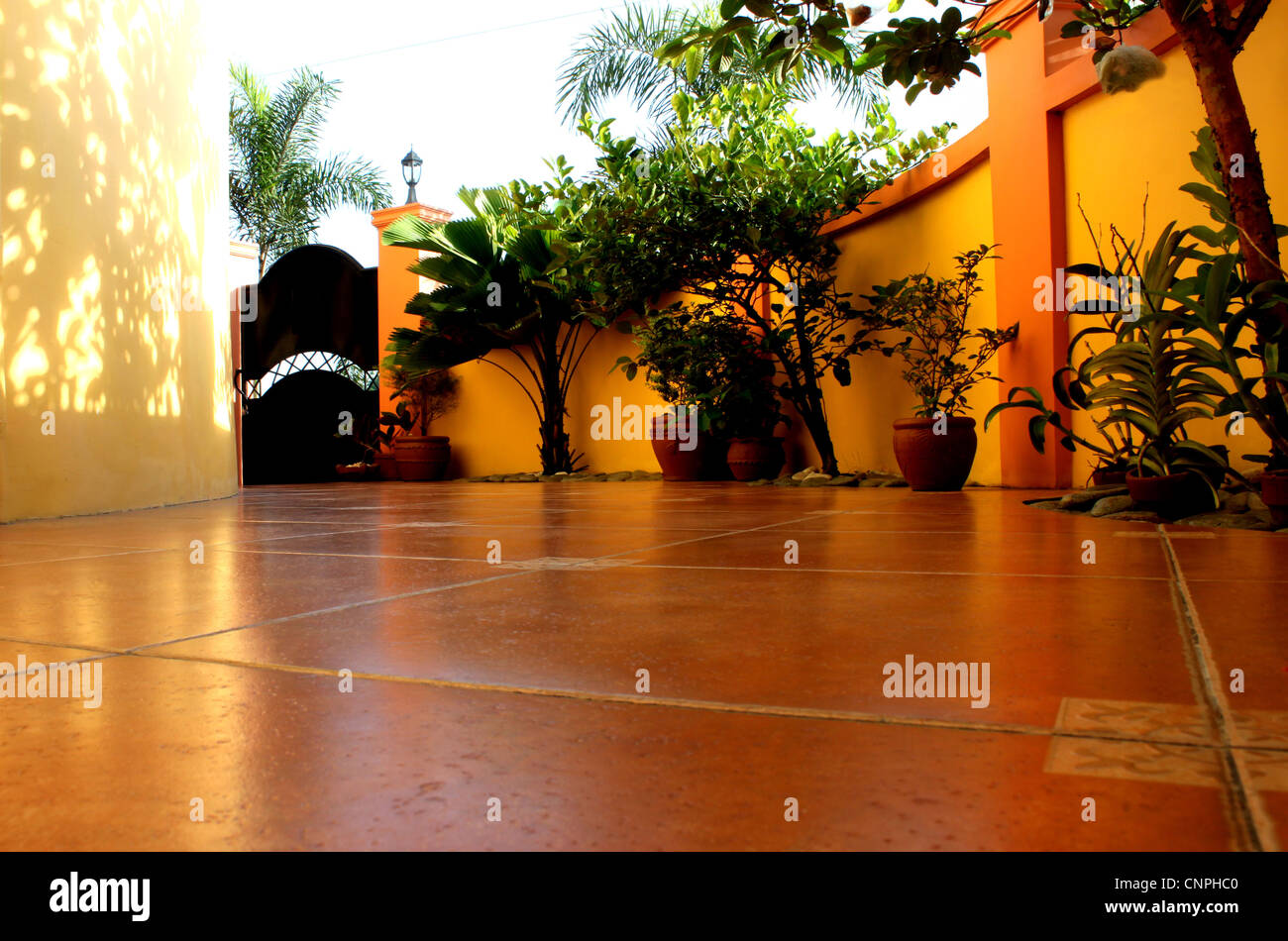 Geflieste Terrasse mit Bäumen und Zierpflanzen Stockfoto