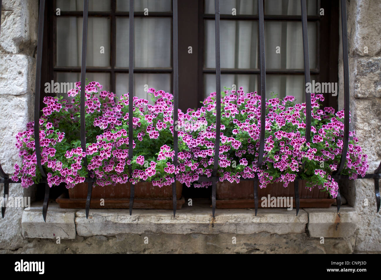 Fenster Blumenkasten Blumenkasten Pflanzgefäße Stockfotos und -bilder  Kaufen - Alamy