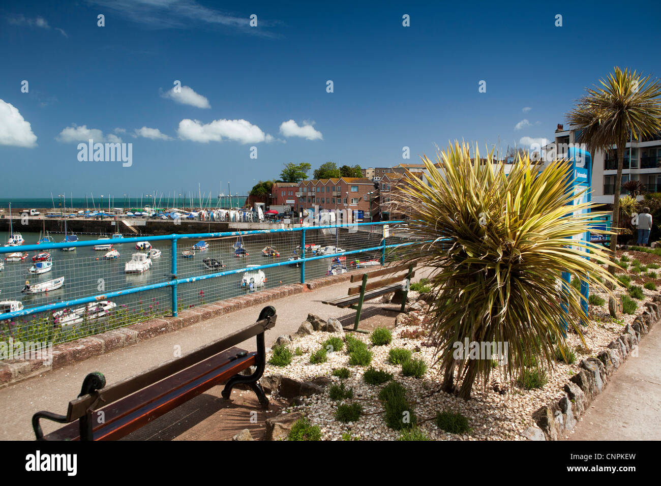 Großbritannien, England, Devon, Paignton, Hafen, subtropischen Pflanzen in kleinen Harbourside Garten Stockfoto