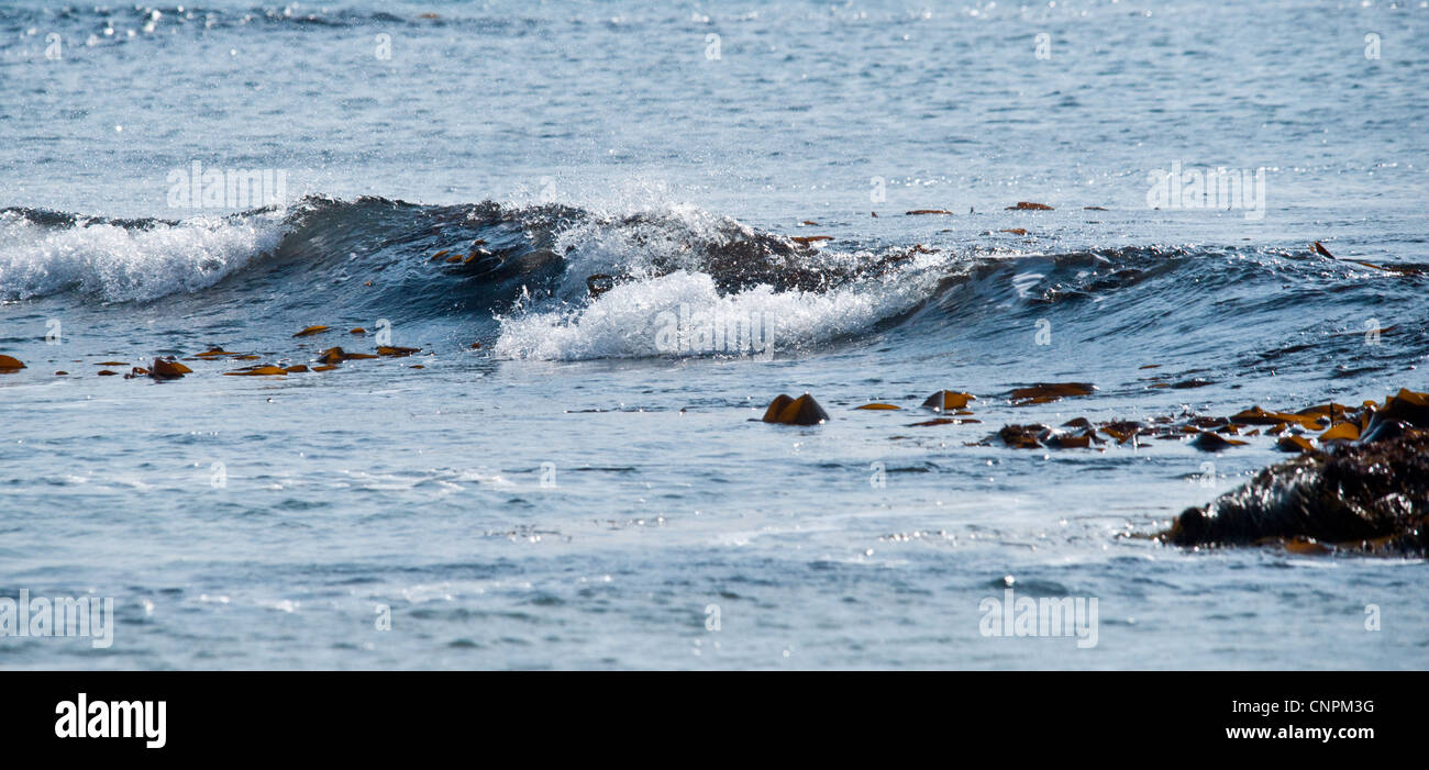 Wellen in Bewegung an der Uferlinie zwischen Felsen brechen. Stockfoto