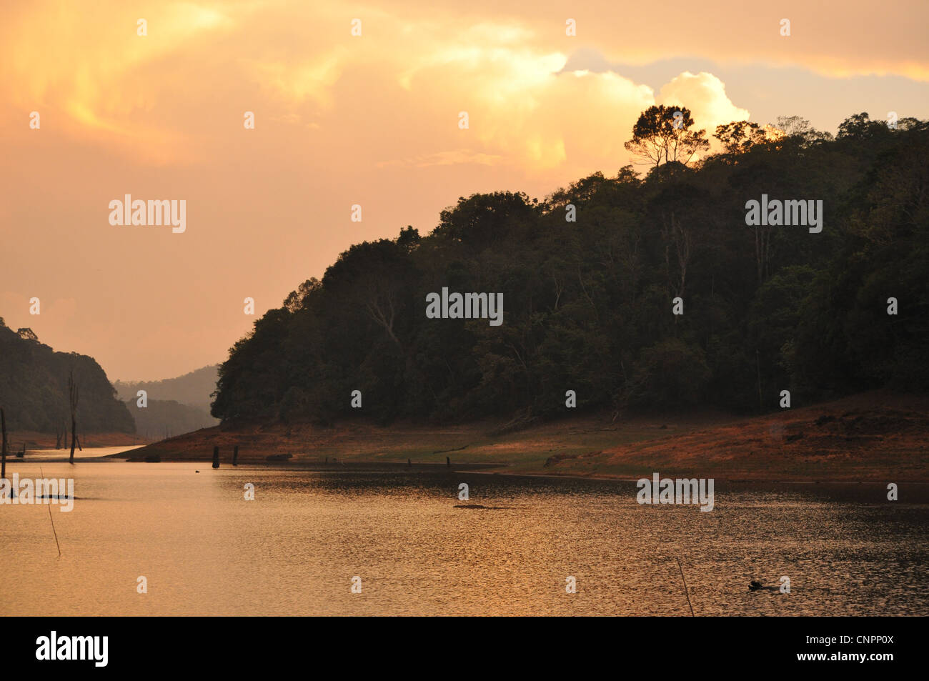 Sonne über den Stausee am Mullaperiyar Damm, in Thekkady wild Life Sanctuary, Kerala, Indien Stockfoto